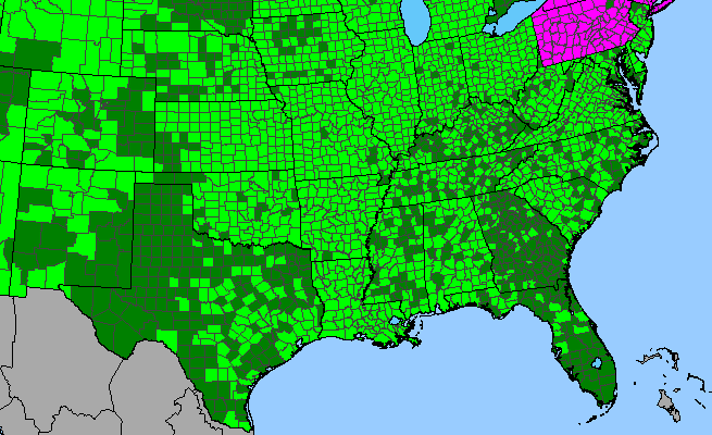 The range of Galium aparine