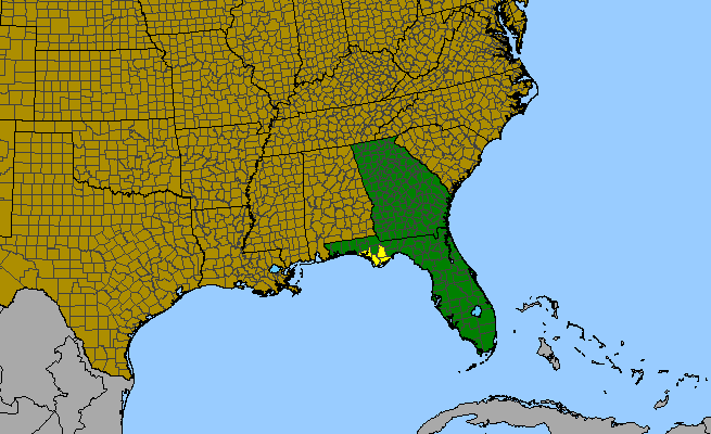 The range of Justicia crassifolia