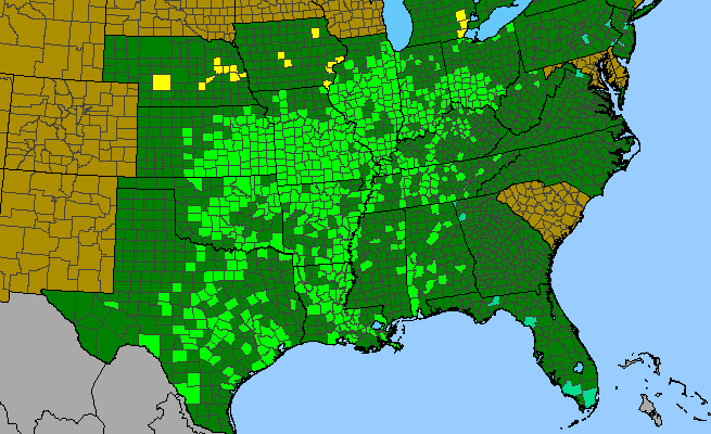The range of Leucospora multifida